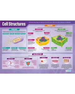 Cell Structures Poster A1 Laminated [3083]