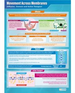 Movement Across Membranes Poster A1 Laminated [3087]